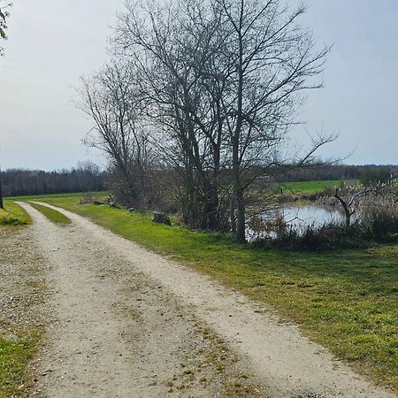 Au Petit Paradis Sainte-Gauburge-Sainte-Colombe Eksteriør bilde